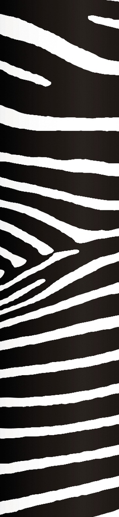 Samolepící fototapety Vzor zebra