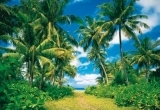 Fototapeta na zeď Výhled Tahity