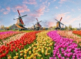 Fototapeta Vlies Livingwalls Holandsko ZaanseSchans, Tulipány