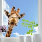 Samolepící dekorace na sklo Giraffe - Žirafa